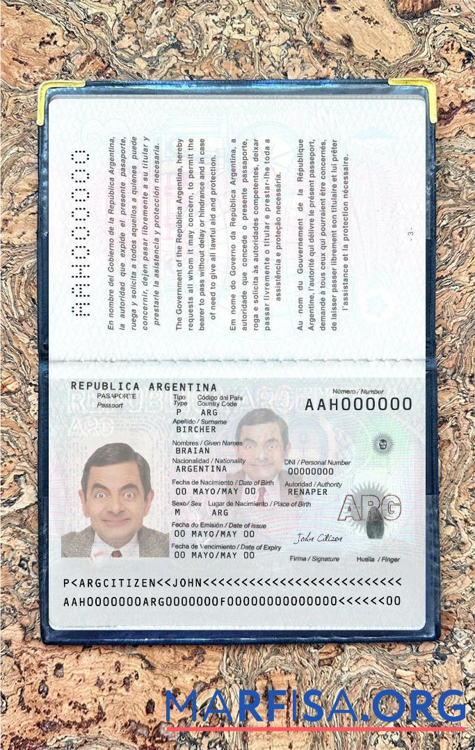 Realistic Argentina new passport 2022 present photolook real example